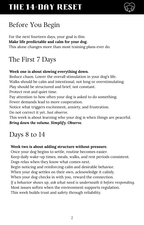 Instructions for a 14-day reset program for dogs on a white background with black text.