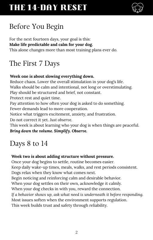 Instructions for a 14-day reset program for dogs on a white background with black text.