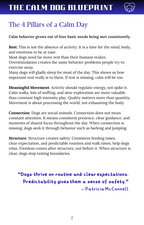 Page from the book titled 'The Calm Dog Blueprint' with text on the four pillars of a calm day.