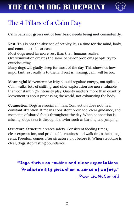 Page from the book titled 'The Calm Dog Blueprint' with text on the four pillars of a calm day.