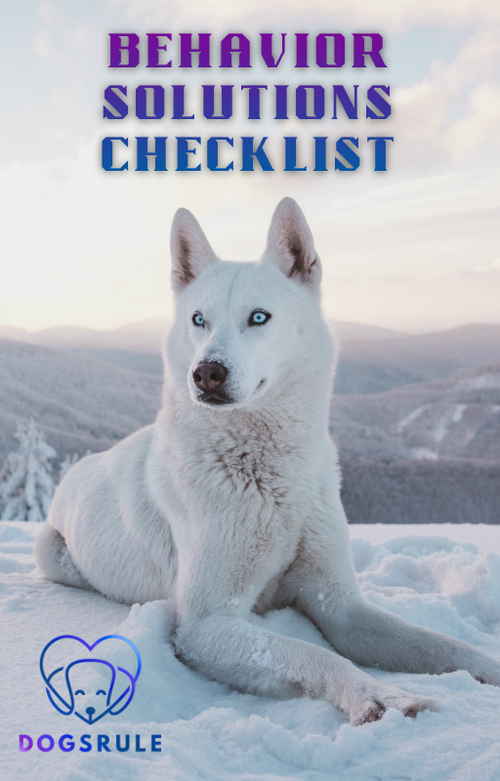 White dog lying in the snow with 'Behavior Solutions Checklist' text and 'DOGS RULE' logo.