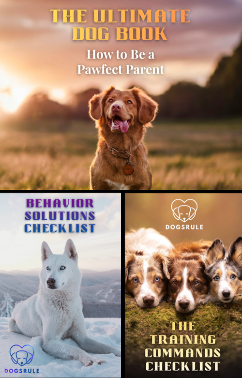 Collage of a dog book cover with a dog in a field, behavior solutions checklist, and training commands checklist.