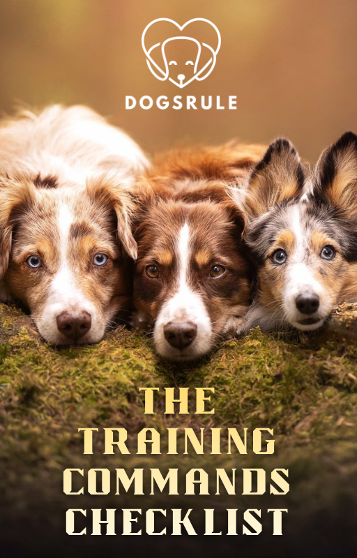 Three puppies with 'DogRule' logo and text about training commands checklist.