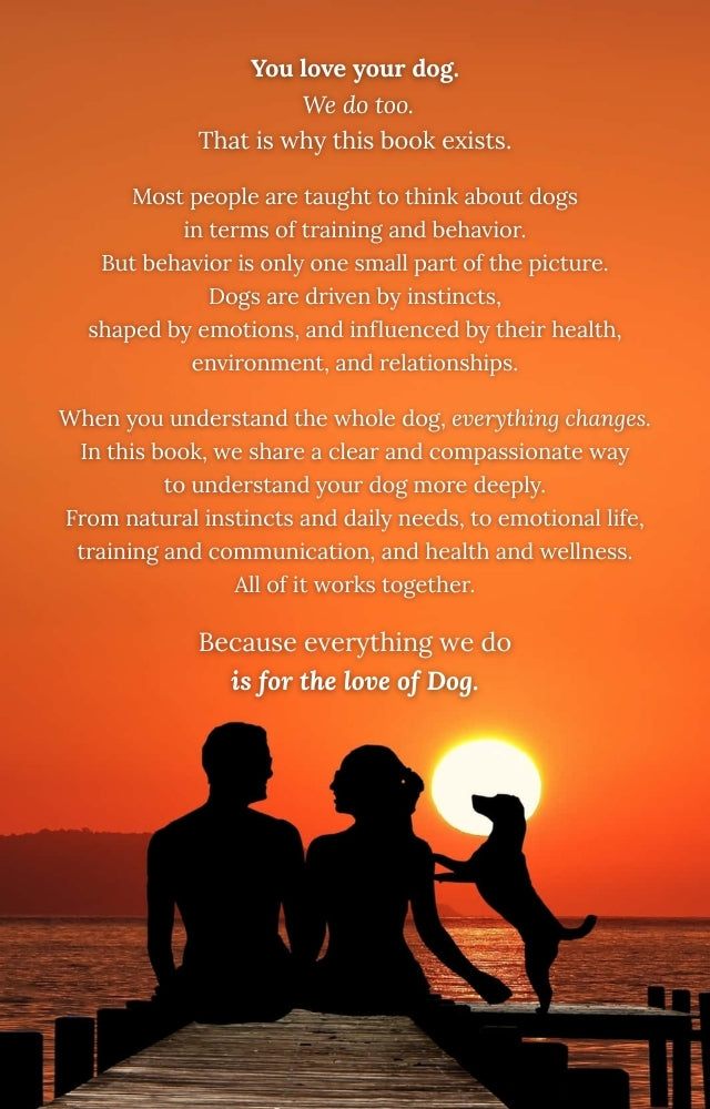 Silhouette of a couple with a dog on a dock at sunset, with text about understanding dogs.