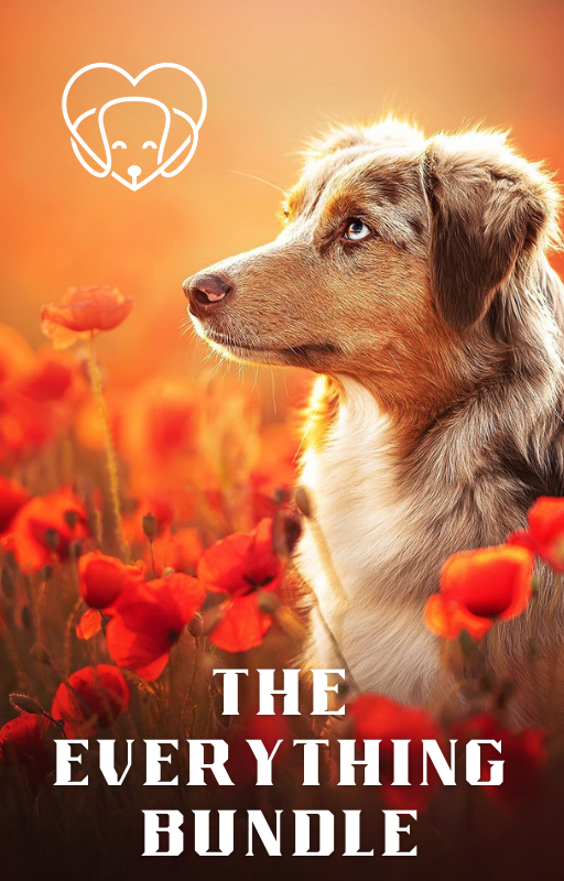 Dog in a field of red flowers with 'The Everything Bundle' text overlay.