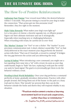 Page from 'The Ultimate Dog Book' on positive reinforcement techniques with text and a green border.